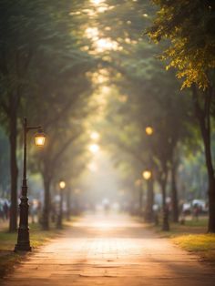 an empty street lined with trees and lights