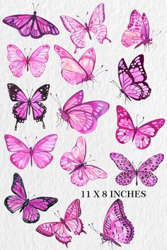 pink butterflies on white paper with the words 11x8 inches in black and purple