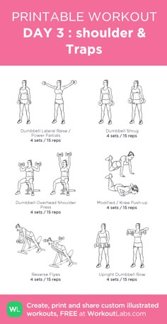 DAY 3 : shoulder & Traps: my visual workout created at WorkoutLabs.com • Click through to customize and download as a FREE PDF! #customworkout Arm Dumbbell Workout, Arms Dumbbell Workout, Beachbody Workout, Dumbbell Arm Workout, Workout Hiit