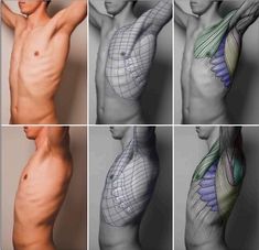 six different views of the human body showing muscles and tendors, including the lower arm