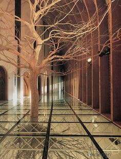 a tree in the middle of a long hallway with no leaves on it and bare branches