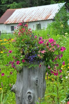 a wooden stump with flowers growing out of it