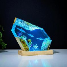 an aquarium is displayed on a wooden stand