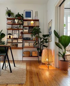 a living room filled with furniture and lots of plants