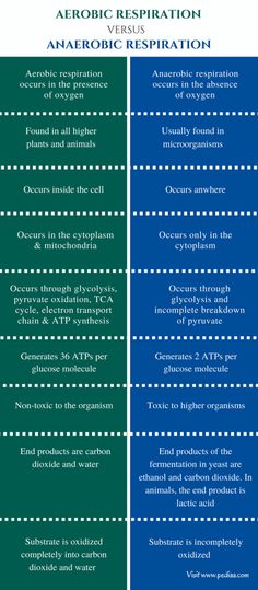 the differences between anaerosis and anaerosis