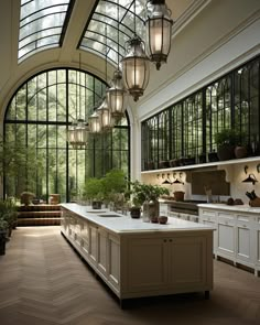 a large kitchen with lots of windows and plants on the counter top in front of it