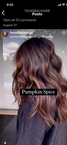 Dark With Copper Highlights, Fall Style Hair Color, Fall Inspired Balayage, Brunette Colors For Fall, Fun Easy Hair Color Ideas, Warmer Hair Colors, Fall Brunette Red Hair Color, Dark Hair Colors For Blue Eyes, Fall Hair For Long Hair