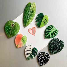 several different types of leaf magnets on a white surface