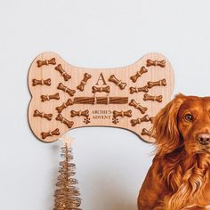 a brown dog sitting next to a wooden sign with bones on it's side