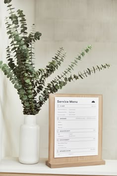 a plant in a white vase next to a menu