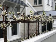 a white fence with flowers on it next to a house and trees in front of it