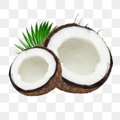 two halves of coconuts with green leaves on the top and one half cut in half