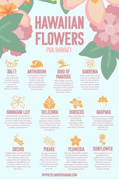 the hawaiian flower info sheet is shown