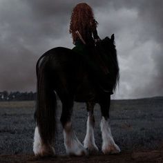 a woman riding on the back of a black horse in a field under a cloudy sky