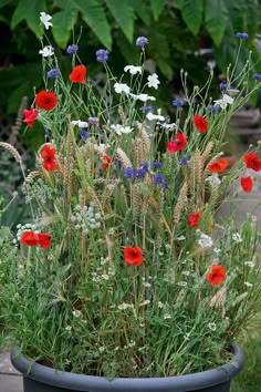 a potted plant with red, white and blue flowers growing in it's center