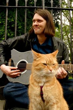 an orange cat sitting next to a man holding a guitar