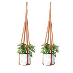 two hanging planters with plants in them