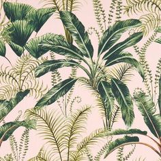 a wallpaper with green leaves and plants on it