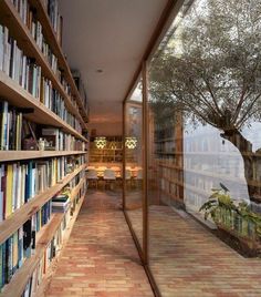 there is a room with many books on the shelves and a tree in the corner