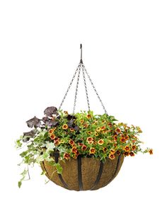 a hanging planter filled with lots of flowers