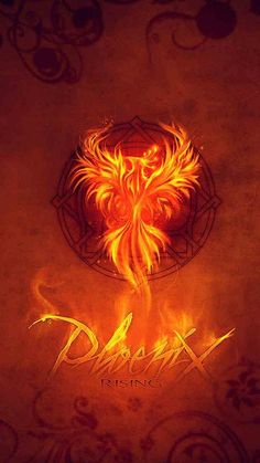 a fire bird with the word dark written in it's center and surrounded by flames