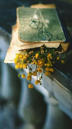 an old book with glasses on it sitting on a window sill next to flowers