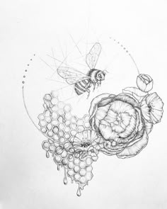 a pencil drawing of bees and flowers with honeycombs on the bottom right side