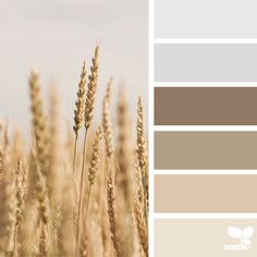 the color scheme is brown, beige and white