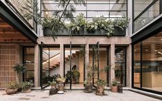 an indoor courtyard with potted plants on the ground and stairs leading up to it