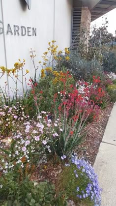 colorful flowers line the side of a building with a sign on it that says garden