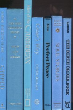 a row of blue books sitting on top of a shelf