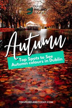 an autumn scene with leaves on the ground and text overlay that reads autumn top spots to see autumn colours in dublin