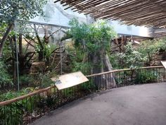 the inside of a zoo with trees and plants