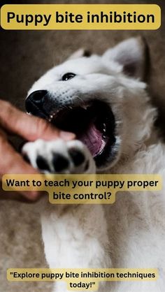 a dog is being petted by someone's hand with the caption puppy bite in