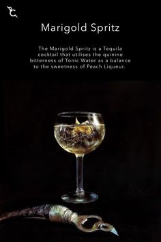 The Marigold Spritz is a Tequila cocktail that utilises the quinine bitterness of Tonic Water as a balance to the sweetness of Peach Liqueur. Beautiful Alcoholic Drinks, Bar Knowledge, Peach Liquor, Breakfast Garden, Spritz Recipe, Cocktail Mixology, Tequila Cocktail, Cocktail Bitters, Boozy Drinks