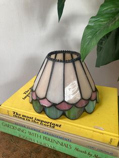 a lamp sitting on top of a stack of books next to a potted plant