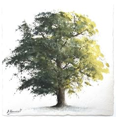 a drawing of a tree in the snow