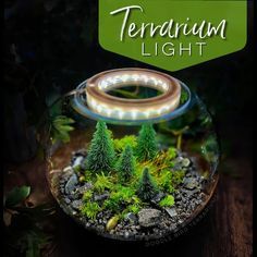 the terrarium light is sitting on top of a table