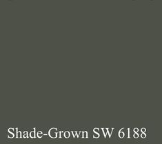 the cover of shades of grey, with black and white text that reads shade - grown sw