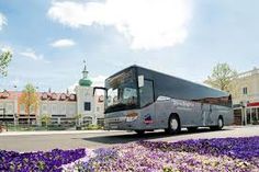 a tour bus is driving down the road in front of purple flowers and buildings on either side