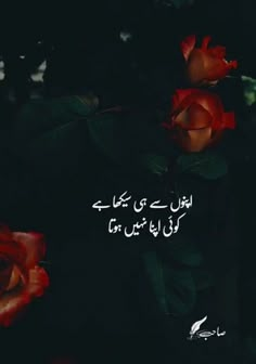 Bush Quotes, Good Day Messages, Sweet Romantic Quotes, Love Birthday Quotes, Inspirtional Quotes, Poetry In Urdu