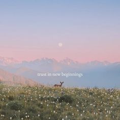 a deer standing on top of a lush green field under a pink sky with the words trust in new beginnings