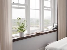 there is a plant in the window sill next to the bed and curtains on the windowsill