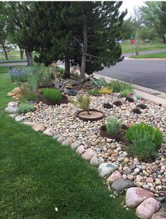 a garden with rocks and plants in the grass next to a tree on the side of the road