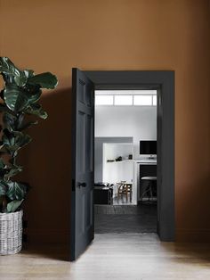 an open door leading to a kitchen and dining room with potted plant in the corner