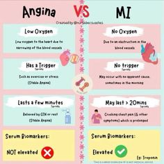 an info poster with the differences between angna and muffins in different languages