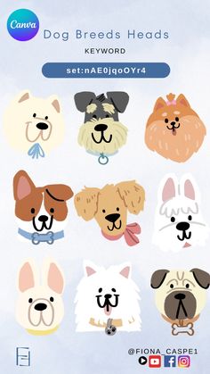 the dog breeds heads are shown in different colors