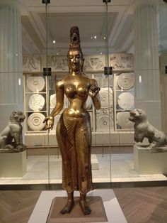 a gold statue is on display in a glass case