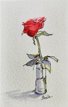 a drawing of a single red rose in a vase