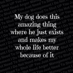 a quote that reads, my dog does this amazing thing where he just exits and makes my whole life better because of it